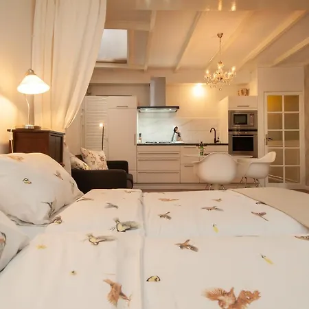 홈스테이 Casasdecasper -